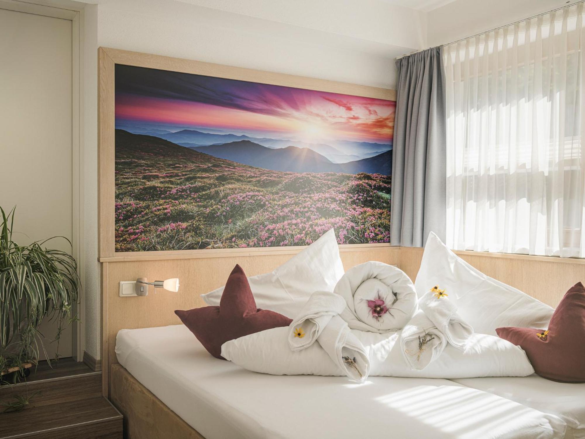 Apart Central - Premium Mountain&Garden Mayrhofen Bilik gambar